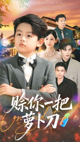 赊你一把萝卜刀封面图